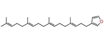 Furospinosulin 1